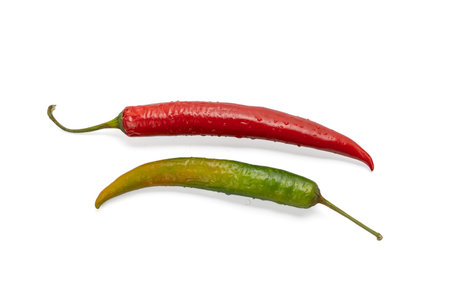 Two chili peppers, one red and one green, isolated on a white background. Their shiny surface is covered with fresh water droplets.の写真素材