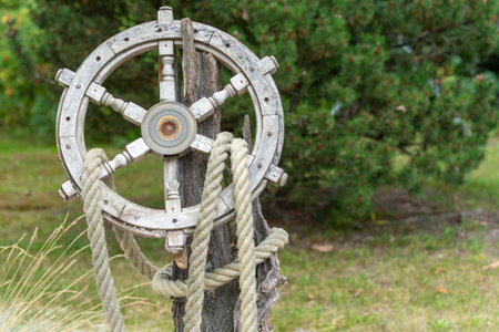 An old wooden steering wheel with ropes is attached to a tree trunk. Behind it stretches a green...