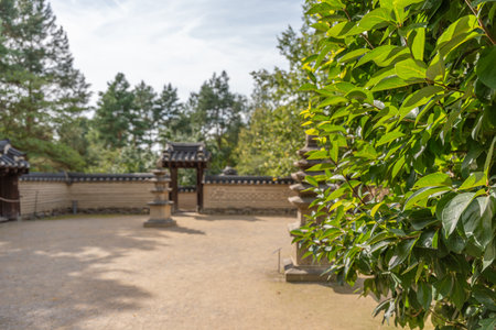 Bright green leaves fill the foreground of a traditional courtyard. Stone lanterns and gates add cultural charm.の写真素材