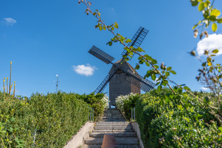 An old windmill under a blue sky, surrounded by green hedges and flowers. A staircase leads directly to the mill.の写真素材