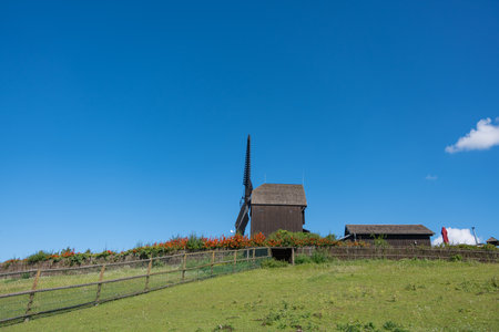 Windmill with Fence and Sky. A wooden windmill stands on a hill with a fence below. Bright flowers...