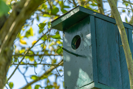 A green birdhouse hangs from a tree in the sunlight. Perfect retreat for birds in the garden.