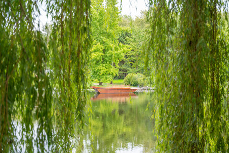 A wooden boat rests on a reflective pond, framed by hanging willow branches. Greenery surrounds the peaceful water.の写真素材