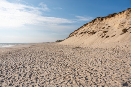 A sandy cliff stretches along the empty beach. The coast meets the calm sea under a bright sky.の写真素材