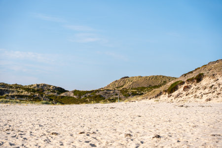 Rolling dunes rise behind the sandy beach. The wild coastal landscape glows beneath the blue sky.の写真素材