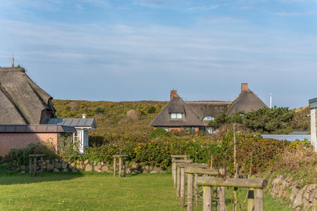 Thatched houses in landscape. Thatched-roof houses stand among greenery under a clear blue sky. The...