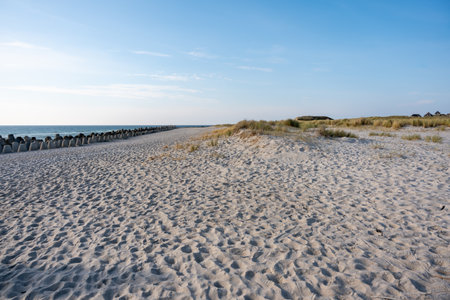 The beach stretches endlessly along the sea with wave breakers in the distance. Ripples in the sand glow softly in the morning light.の写真素材