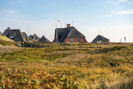 Red-brick thatched cottages stand among grassy dunes and soft sunlight. A white flag waves gently in the coastal breeze.の写真素材