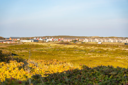 A colorful seaside village stretches across the horizon, with houses in red, white, and beige tones. The golden foreground vegetation adds warmth to the view.の写真素材