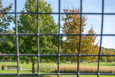 Park view through a metal grid. Autumn trees and green lawns are seen through a square iron grid. The fence divides nature and geometry in one frame.の写真素材