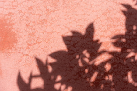 Soft leaf shadows dance on a textured pink wall in warm sunlight. The abstract shapes create a calm...