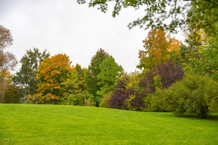 A green meadow stretches toward trees in full autumn color, from green to deep orange. The cloudy sky softens the vibrant tones of the landscape.の写真素材