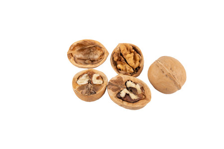 Several opened and whole walnuts isolated on a white background. The image highlights the contrast...
