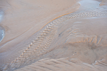 Water patterns in sand. Close-up of fine water channels and textures on wet sand. Gentle sunlight...