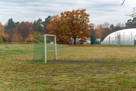 A small football goal stands on a damp field surrounded by autumn trees. The scene feels quiet and...