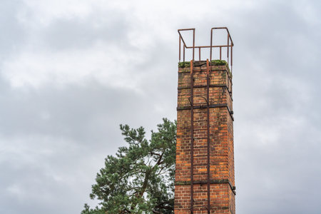 A tall brick chimney rises under a cloudy sky, framed by green pine branches. The weathered structure adds industrial charm to the scene.の写真素材