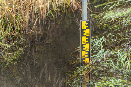 A yellow and black water level gauge stands in a calm stream. Reeds and grasses grow along the wet bank.の写真素材