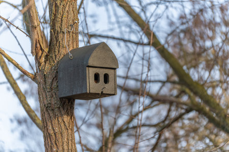 Dark birdhouse hanging from a tree in winter woodland. Soft sunlight highlights the texture of bark...