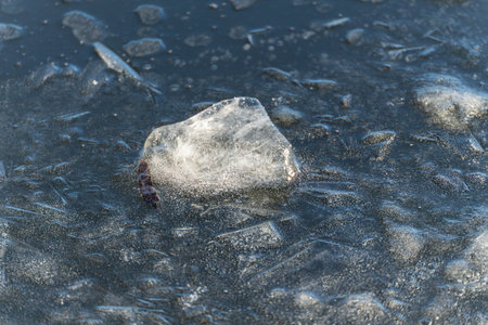 Single ice fragment. Isolated piece of clear ice embedded in a frozen surface. Minimal winter...