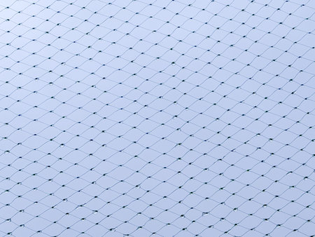 Diagonal protective net pattern against a pale blue sky. Minimal abstract background symbolizing...