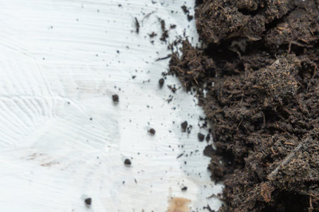 Minimalist composition of soil scattered on a white wooden surface. The image works as a gardening background with copy space.の写真素材