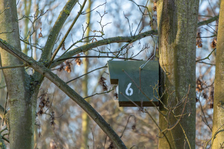 A small green wooden nest box marked with the number six hangs on a tree. Bare branches surround the...