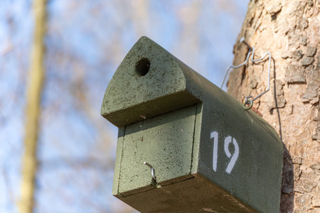 Weathered green mailbox mounted on tree trunk. Number 19 painted white on front panel. Simple...