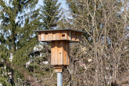 Wooden birdhouse stands on a pole outdoors. Tall evergreen trees surround the scene. Bare-branched...