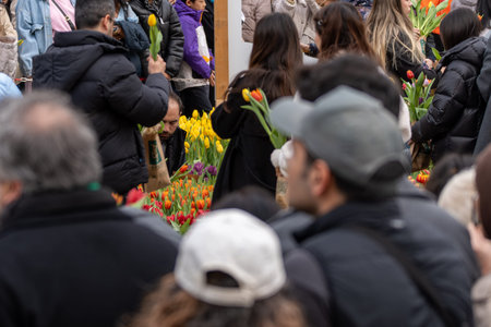 Germany Berlin March 14, 2026. People gather closely to collect colorful tulips at a busy spring...