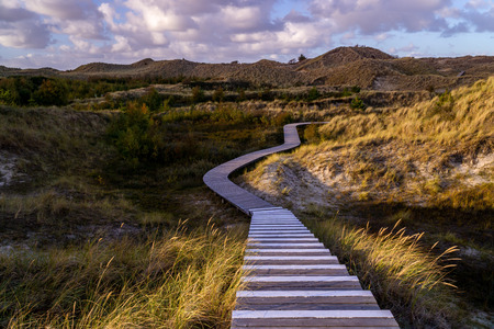 Wooden stairs of a path through the island of Amrum in Germany.の写真素材