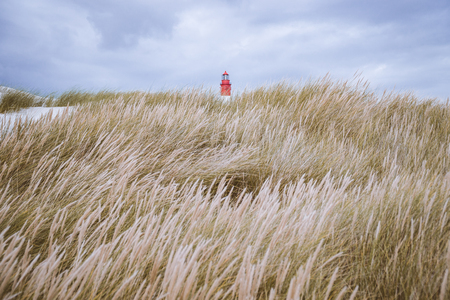 Sea grass dunes with lighthouse on top in the northern sea.