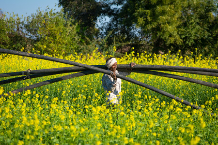 TIKAMGARH, MADHYA PRADESH, INDIA - JULY 23, 2021: Indian farmer standing in agricultural field.のeditorial素材