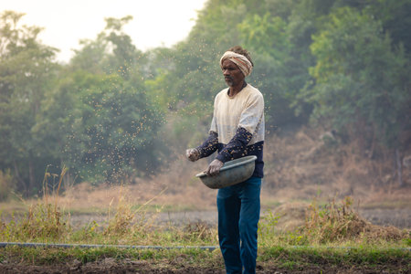 TIKAMGARH, MADHYA PRADESH, INDIA - MAY 14, 2022: Farmer spreading wheat seeds with her hands in the field.のeditorial素材