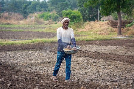 TIKAMGARH, MADHYA PRADESH, INDIA - MAY 14, 2022: Farmer spreading wheat seeds with her hands in the field.のeditorial素材