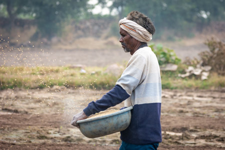 TIKAMGARH, MADHYA PRADESH, INDIA - MAY 14, 2022: Farmer spreading wheat seeds with her hands in the field.のeditorial素材