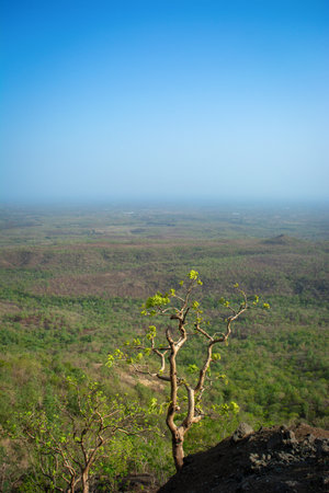 A perfect beauty from the height of jam gate of indore, madhya pradesh, india.の写真素材