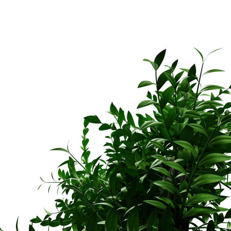 green plants, springs, leaf on transparent, plants elementsの写真素材