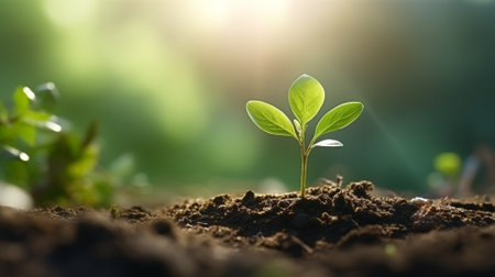 Green seedling illustrating concept of new life and environmental conservation with sunlightの素材