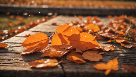 Fallen leaves on a wooden walkway in the autumn park.の素材