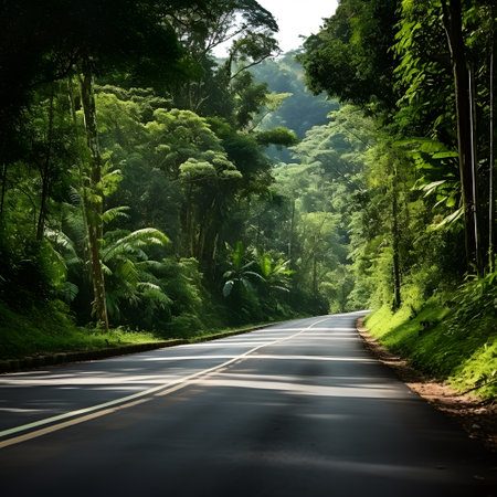 Road in the jungle of Costa Rica, Central America, South Americaの素材