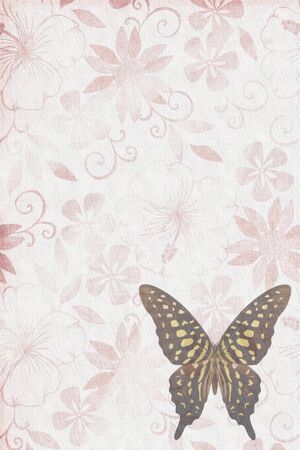 Butterflies texture letter red brownの写真素材