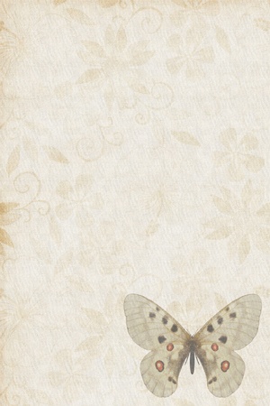 Butterflies texture letter old brownの写真素材