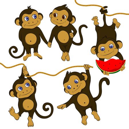 Funny monkeys setのイラスト素材