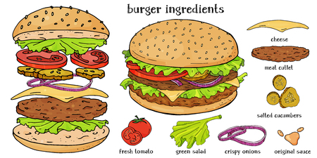 Delicious Burger and its ingredients on a white background. Sandwich with fresh herbs, onions and juicy patties. Colorful vector illustration in sketch style.のイラスト素材