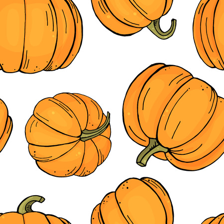 Seamless pattern with bright pumpkins on white background. Autumn harvest. Colorful vector illustration in sketch style.のイラスト素材