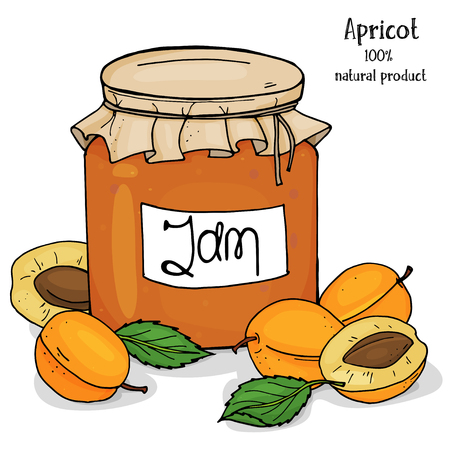 Jar of apricot jam and fresh ripe apricots.の写真素材