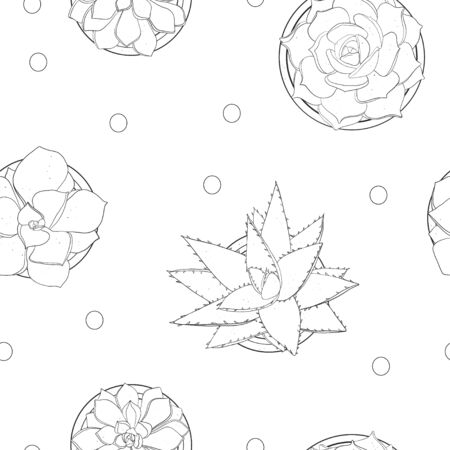pattern with succulents. Black outline on a white background. Black and white illustration.のイラスト素材