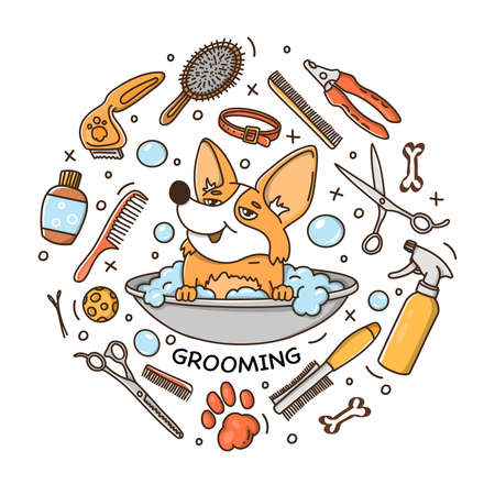 Hand-drawn set on the theme of grooming for dogs and a dog in a basin with foam on a white backgroundのイラスト素材