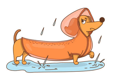 Hand-drawn disgruntled dachshund dog in a raincoat. Colorful vector illustration in doodle style.のイラスト素材