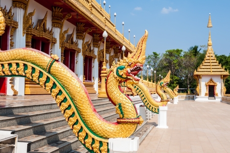 Naga staircase buddhist templeの写真素材